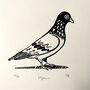 Pigeon A5 Linocut Print By Theodore Roberts, thumbnail 3 of 5
