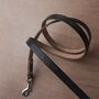 Personalised Leather Dog Lead, thumbnail 4 of 11
