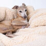 Sherpa Fleece Dog Blanket, thumbnail 4 of 10