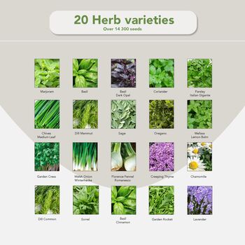 Grow Your Own Herb Garden With 20 Varieties Pouch, 3 of 7