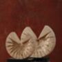 Set Of Two Travertine Half Moon Sculptures On Black Marble Bases, thumbnail 2 of 3