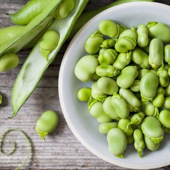 Seeds Broad Beans 'Imperial Long Pod' 12 X Seed Pack, 6 of 9