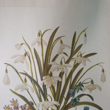 Snowdrop Flower Print Cotton Tote Bag Gift For Winter, 6 of 8