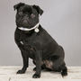 The Mayfair Black And White Spotted Dog Collar, thumbnail 4 of 4