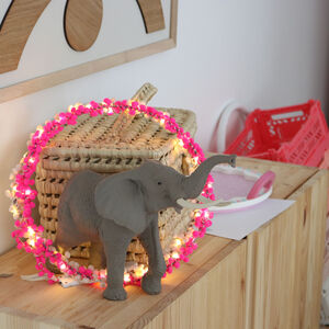 Fairy Lights | Indoor & Bedroom Fairy Lights | notonthehighstreet.com