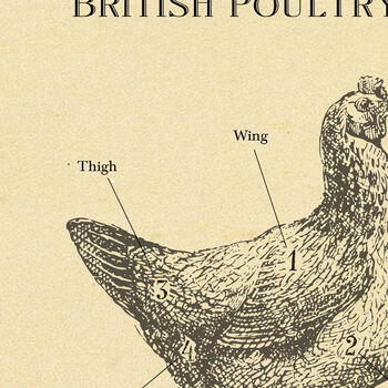 British Chicken Butcher Chart, 5 of 9