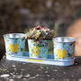Floral Personalised Trio Of Planters, thumbnail 1 of 3