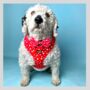 Red Valentine Heart Dog Poo Bag Holder, thumbnail 6 of 6