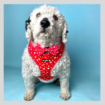 Red Valentine Heart Dog Poo Bag Holder, 6 of 6