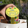 Wildflower Grow Kit With Forget Me Not Or Chamomile Seeds, thumbnail 1 of 10