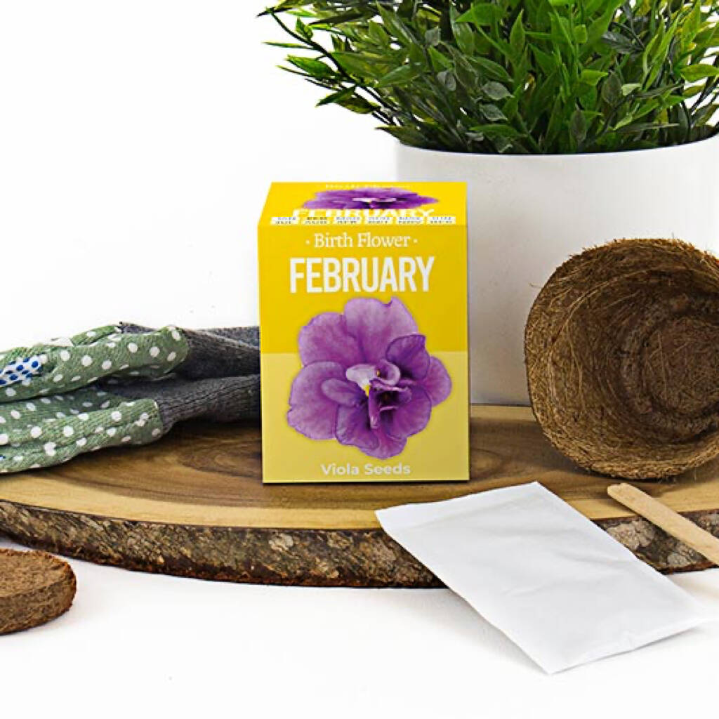 Grow Your Own Birth Flower Kit By all things Brighton beautiful