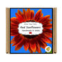 Gardening Gift. Red Sunflower Growing Kit, thumbnail 4 of 4