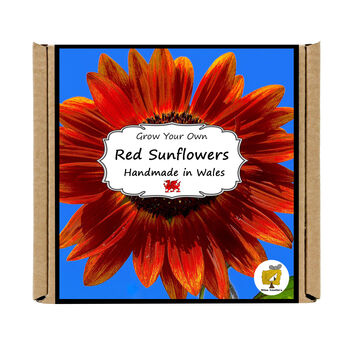 Gardening Gift. Red Sunflower Growing Kit, 4 of 4