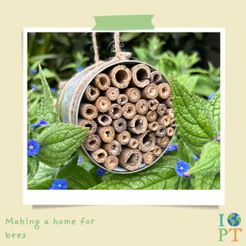 Children's Eco Activity Box: Buzzing Bees, 5 of 10