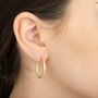 Large Nude Enamel Hoop Earrings, thumbnail 3 of 3