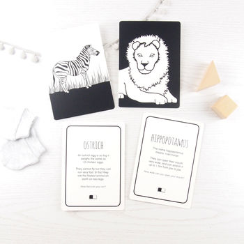 Black And White Baby Flash Cards Africa, 2 of 4