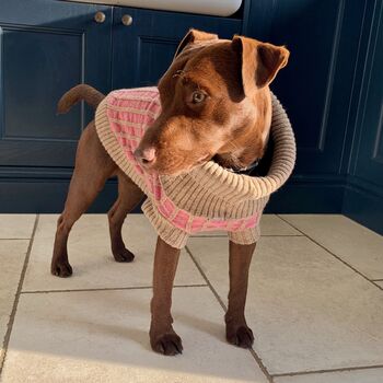 Paddy Sustainable Dog Jumper, 4 of 12
