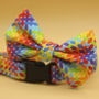 Geometric Rainbow Dog Bow Tie, thumbnail 3 of 5