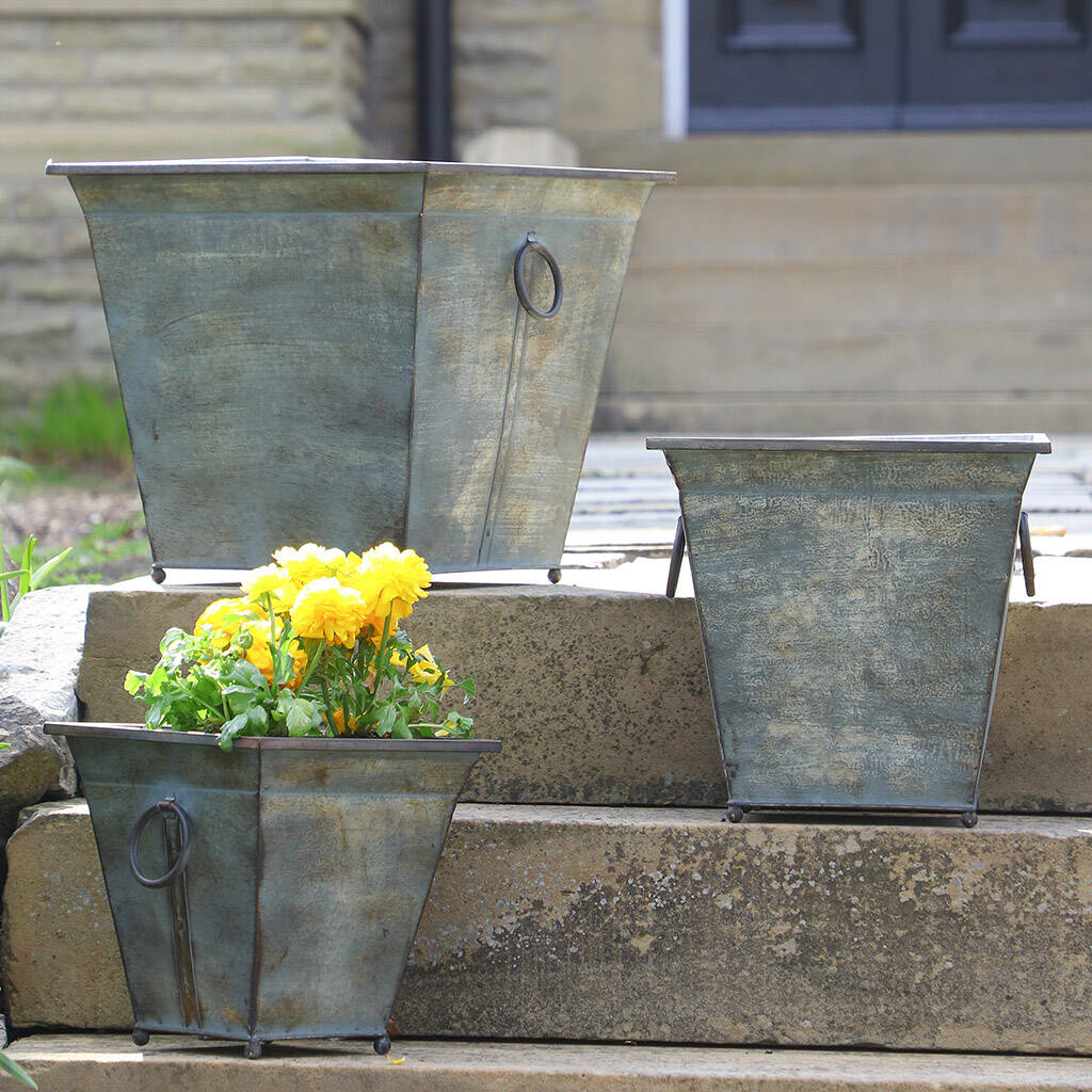 Set Of Three Vintage Metal Bucket Planters By Dibor