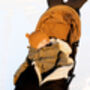 Baby Merino Sheepskin Footmuff, thumbnail 9 of 12