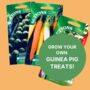 Halloween Guinea Pig Trick Or Treat Bag / With Seeds, thumbnail 4 of 4