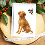 Wirehaired Vizsla Christmas Card, thumbnail 1 of 5