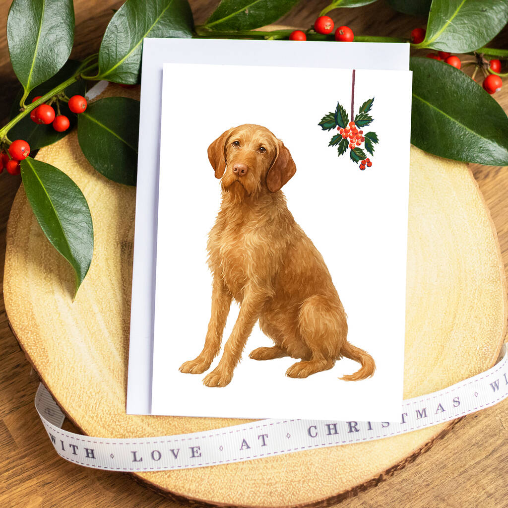 Wirehaired Vizsla Christmas Card, 1 of 5