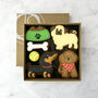 Dog Lover Iced Biscuit Box, thumbnail 1 of 1
