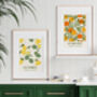 Set Of Two Oranges And Lemons French Art Prints, thumbnail 2 of 5