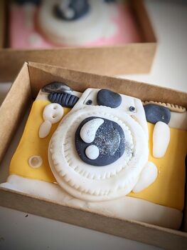 Retro Camera Cookie Gift Box, 3 of 7