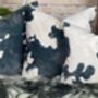 Cowhide Pattern Velvet Cushions Friesian, thumbnail 10 of 12