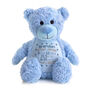 Personalised New Baby Embroidered Bear, thumbnail 1 of 1