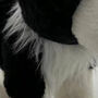 Sheep Dog Puppy Soft Toy In Gift Packaging, thumbnail 5 of 6