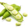 Seeds Broad Beans 'Imperial Long Pod' 12 X Seed Pack, thumbnail 1 of 9