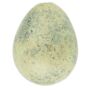 Box Of 12 Quail Egg's Light Green, thumbnail 2 of 5