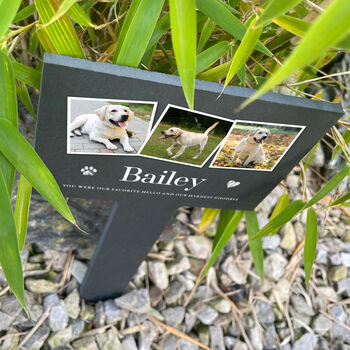 Personalised Large Pet Photo Memorial Slate Plant Marker, 3 of 7