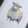 Longwool Sheep Lavender Yarns Giclee Fine Art Print, thumbnail 2 of 3