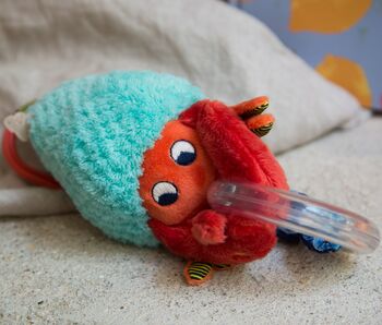 Brave Little Crab Activity Toy, 2 of 8