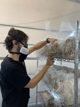 The Yorkshire Mushroom Emporium Experience For One, 5 of 10