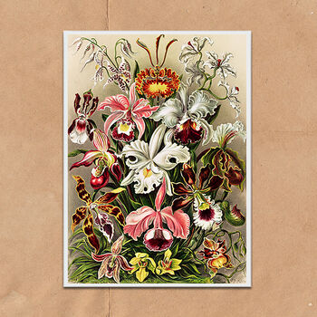 Floral Orchids Vintage Style Art Print, 2 of 4