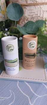 Marrow Seeds In A Seedtube, 2 of 6