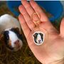 Personalised Guinea Pig Face Portrait Keyring, thumbnail 5 of 11