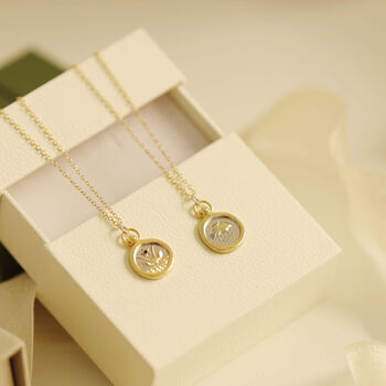 Zodiac Star Sign Disc Shaped Necklace – 12 Signs, 9 of 12