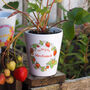 Teacher's Strawberry Plant Pot With Seeds, thumbnail 1 of 7