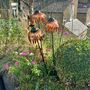 Set Of Three Copper Echinacea Garden Sculptures, thumbnail 3 of 7