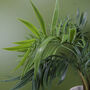 40cm Artificial Mini Tropical Palm In Planter, thumbnail 3 of 3