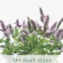 Cats Eco Grow Your Own Plant Kit, thumbnail 6 of 8