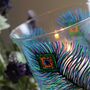 Peacock Feather Painted Lantern Vase, thumbnail 2 of 8