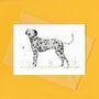 Dotty The Dalmatian Illustrated Blank Greeting Card, thumbnail 3 of 10