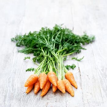 Vegetable Plants Carrot 'Chantenay' Two X Plug Plants, 6 of 7